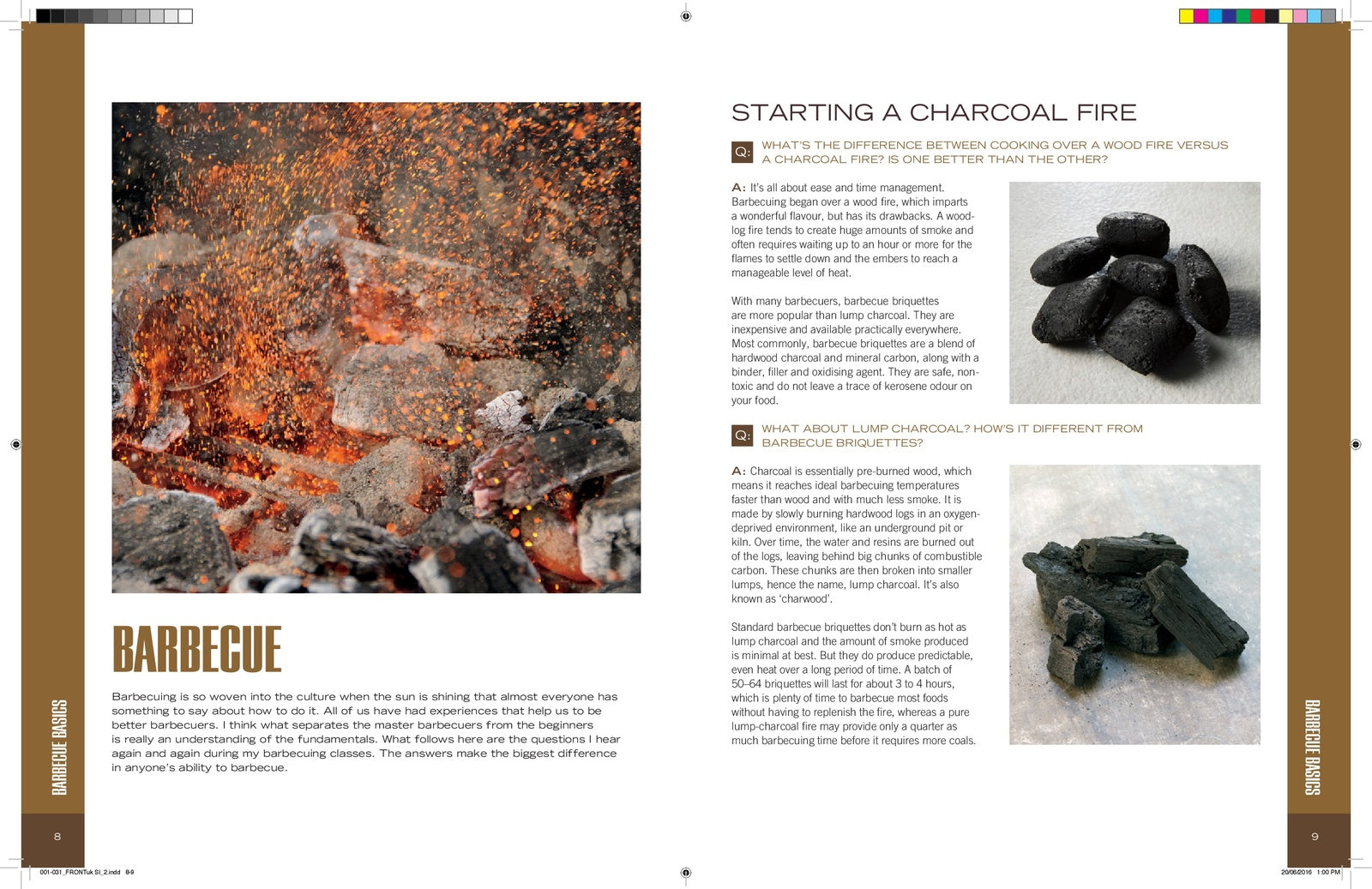 Weber's Barbecue Bible By Jamie Purviance