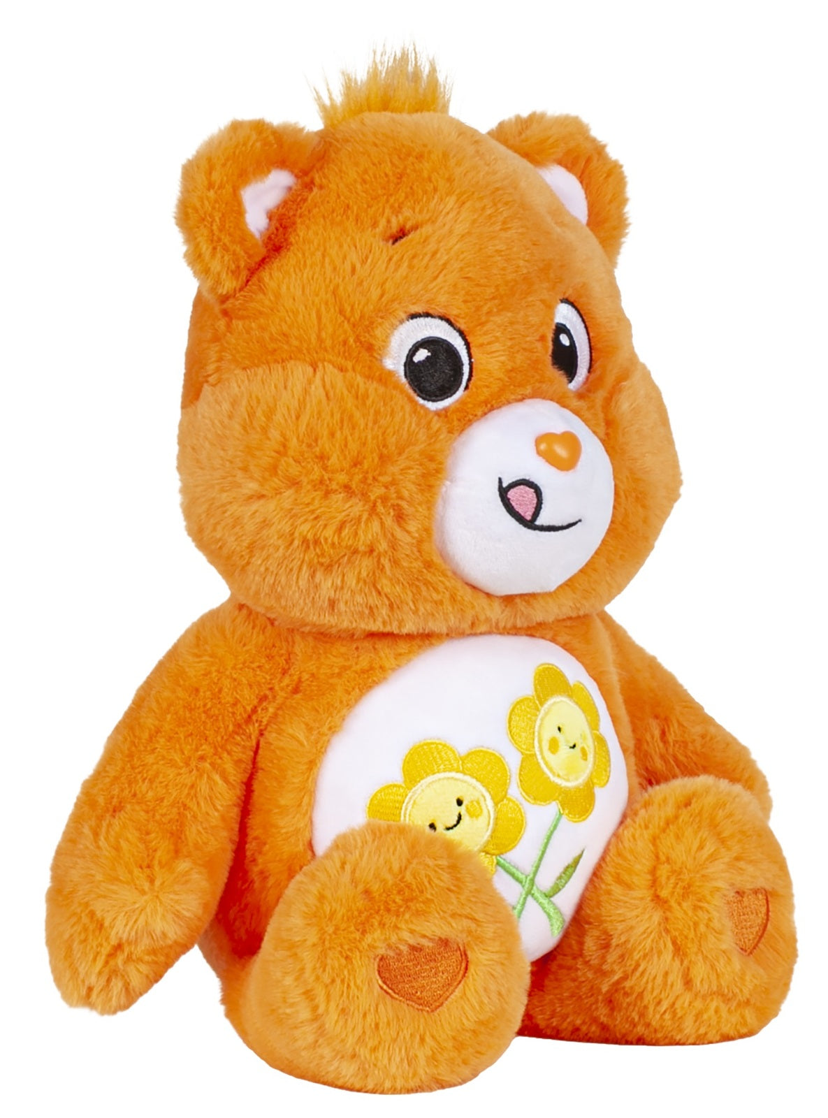 Care Bears: Medium Plush Toy - Friend Bear