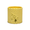 Disney: Winnie The Pooh Honeycomb Plant Pot 10cm