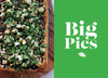 Who Made All The Pies? By Wendy Morgan