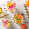 Reusable Ice Cubes - Club Tropicana