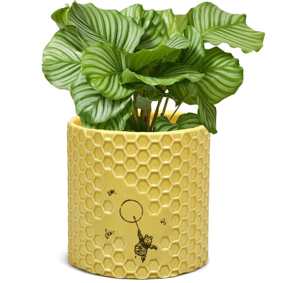Disney: Winnie The Pooh Honeycomb Plant Pot 10cm