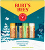 Burt's Bees: Lip Balm (4 Pack) - Assorted