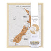 Splosh: New Zealand Desk Travel Map Pin Board