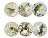 100% NZ: Birds & Botanicals of NZ Coasters