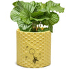 Disney: Winnie The Pooh Honeycomb Plant Pot 10cm