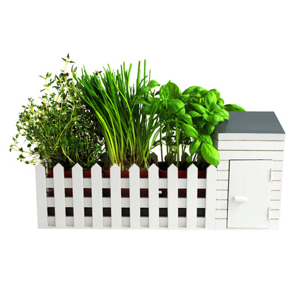 Indoor Allotment Gift Set