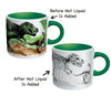 The Unemployed Philosophers Guild Novelty Mug - Disappearing Dinosaur