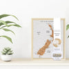 Splosh: New Zealand Desk Travel Map Pin Board