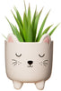 Sass & Belle: Mini Cat Planter on Legs