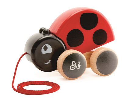 Hape: Lady Bug - Pull Along Toy