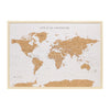 Travel Board Large World Map