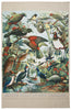 Native Birds Of NZ - Prestige Tea Towel