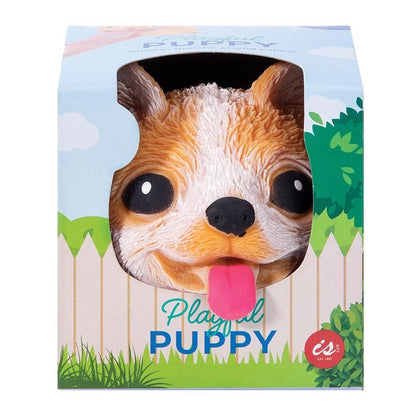 IS Gift: Playful Puppy - Stress Ball (Assorted Colours)