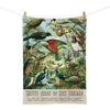 Native Birds Of NZ - Prestige Tea Towel