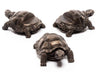 Jardinopia: Potty Feet - Antique Bronze Tortoise