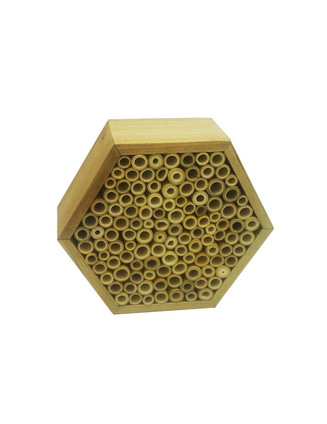 Mr Fothergill's: Bee & Insect Sanctuary Kit - Hexagonal