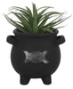 Triple Moon Cauldron - Plant Pot