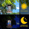 Hanging Bird Feeder & Solar Light