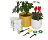 Wicked Waterer Indoor Plant Care Kit