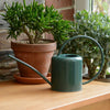 Indoor Plant Watering Can 1.4L Coloured Galvanised Steel - Green