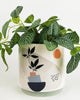 Urban Products: Octavia Abstract Planter