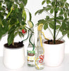 Wicked Waterer Indoor Plant Care Kit