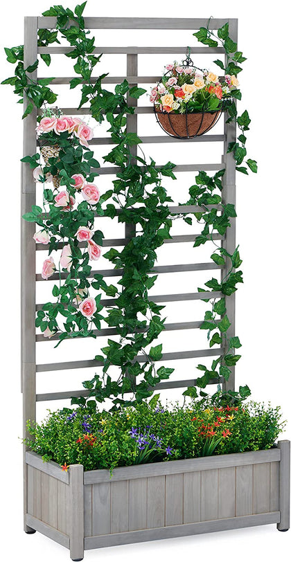 Outdoor Garden Bed with Trellis