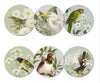 100% NZ: Birds & Botanicals of NZ Placemats