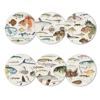100% NZ: Fishes of NZ Coasters