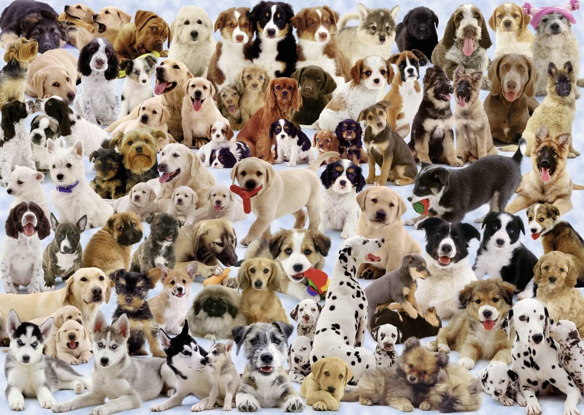 Ravensburger: Dogs Galore! (1000pc Jigsaw)