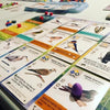 Wingspan: European Board Game Expansion
