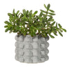 Sass & Belle: Bobble Planter - Grey