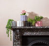 Sass & Belle: Bobble Planter - Grey