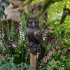 Jardinopia Garden Décor: Antique Bronze Topper - Barn Owl