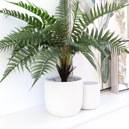 Splosh: Exotic Planters (Set of 2)