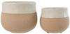 Splosh: Home Sweet Home Planters (Set of 2)