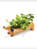 Kikkerland: Daisy The Dachshund Planter