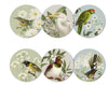 100% NZ: Birds & Botanicals of NZ Coasters