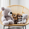 Gund: Fuzzy Bear - Beige Plush Toy