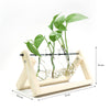 GREENHAVEN 3 Bulb Vase Plant Terrarium with Wooden Stand - Natural