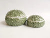Moana Road: Ceramic Kina Bowl Set of 2