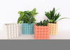 Urban Products: Addie Bubble Planter - White 13cm